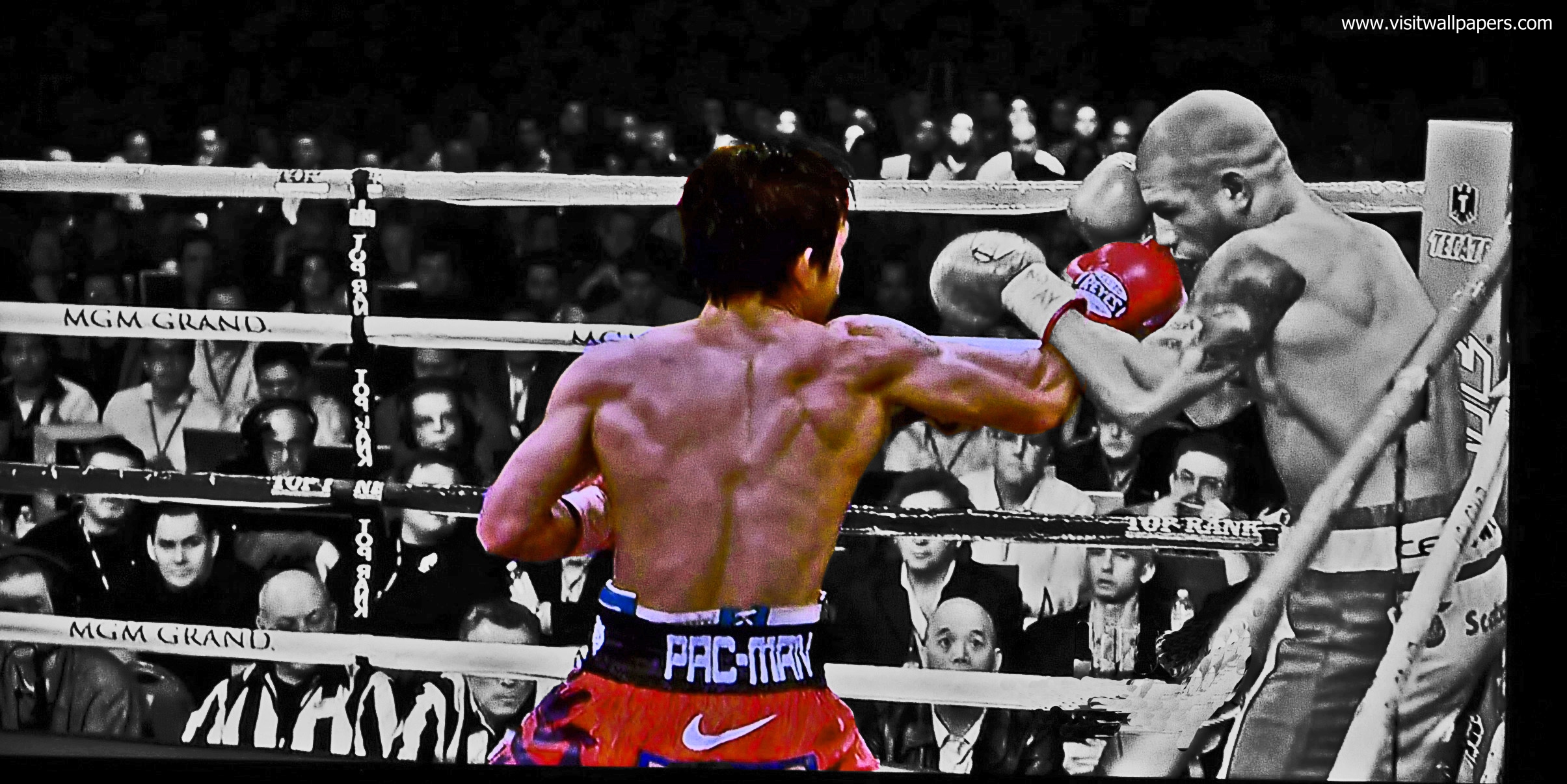 cotto_pacquiao07