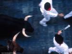 bullfight_04