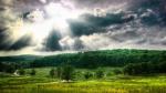 Image_0068