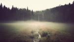 Image_0106