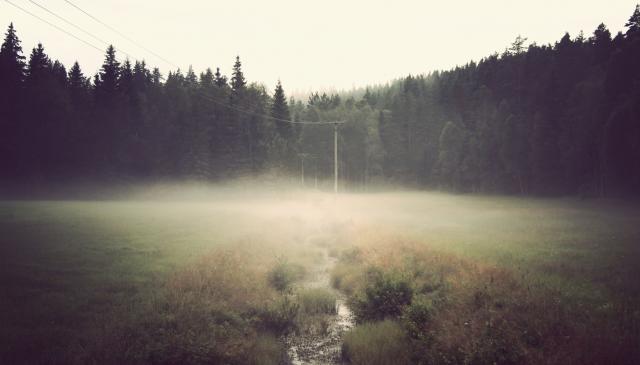 Image_0106