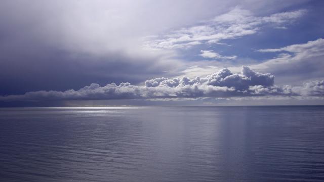 Image_0146