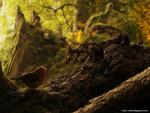 Fantasy_465