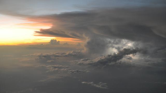 Image_0218