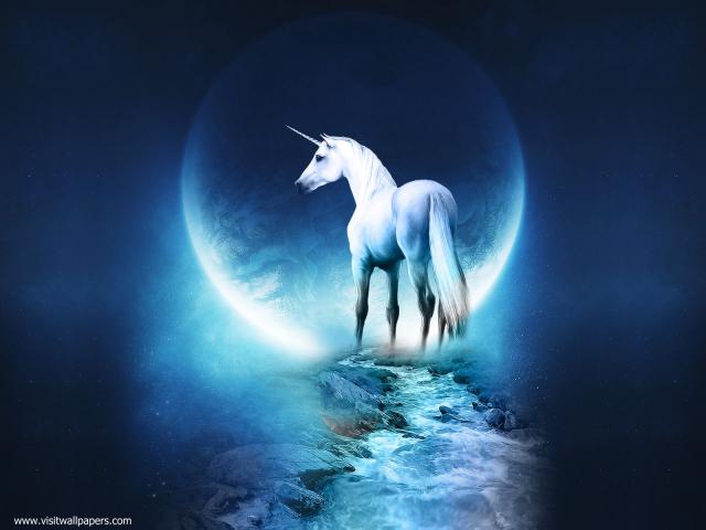 Fantasy_555