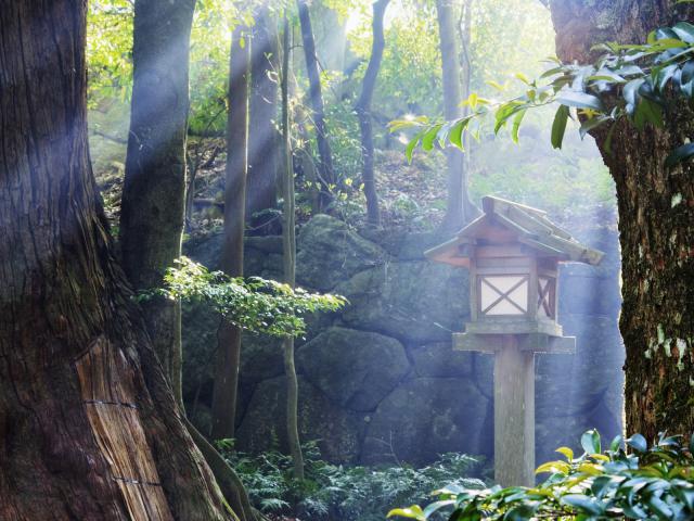 Japan_072