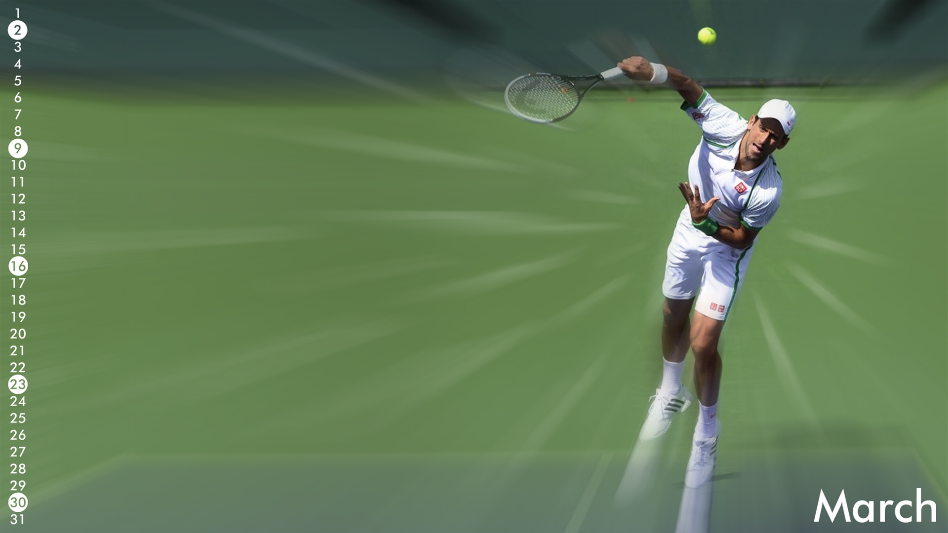 Novak_Djokovic_205