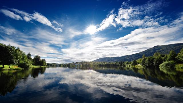 Image_0263