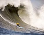surfer_33