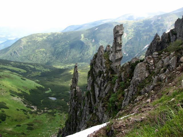 Image_0394