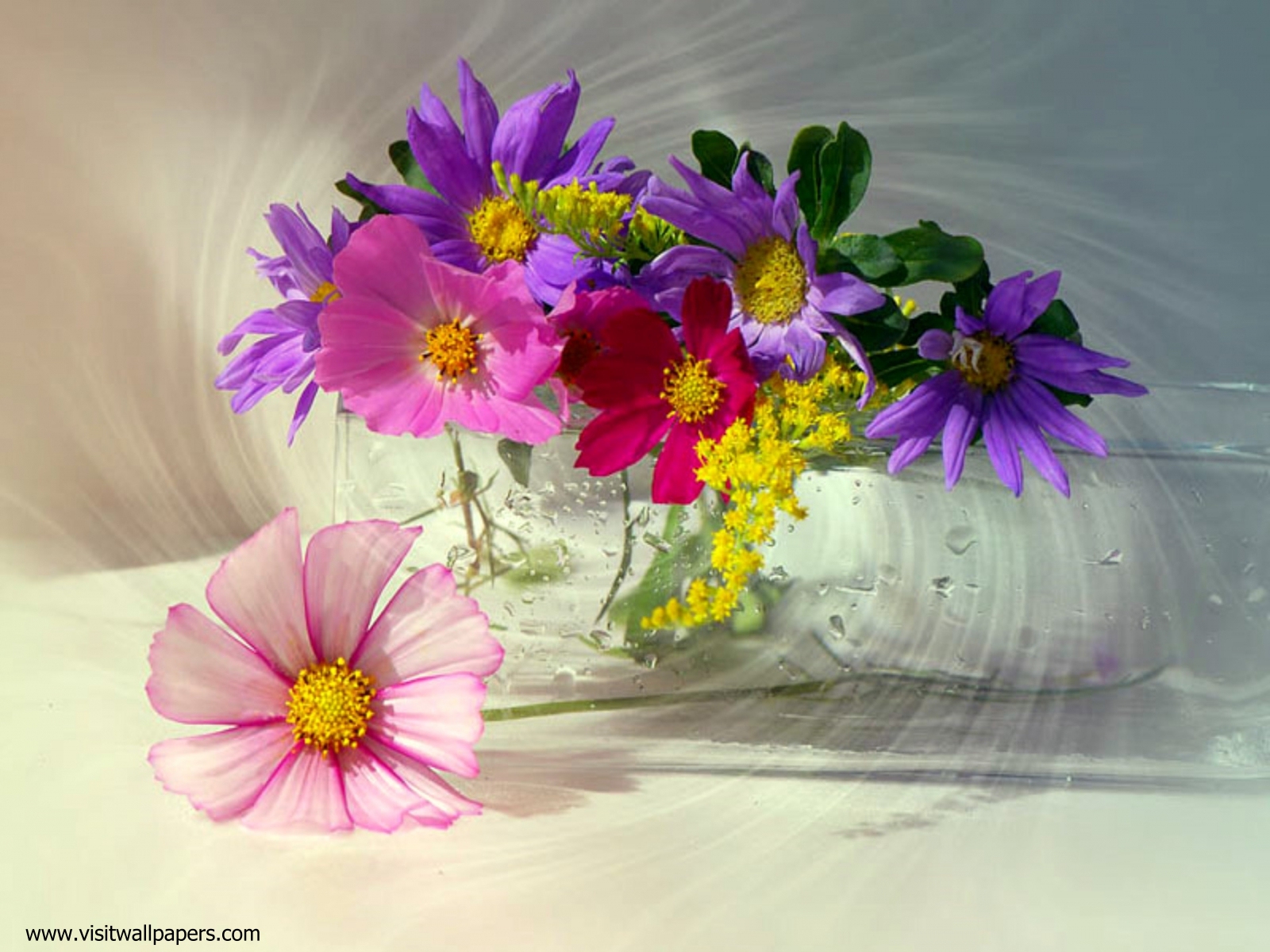 Image_0540