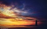 Image_0564