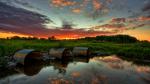 Image_0597