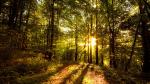 Image_0598