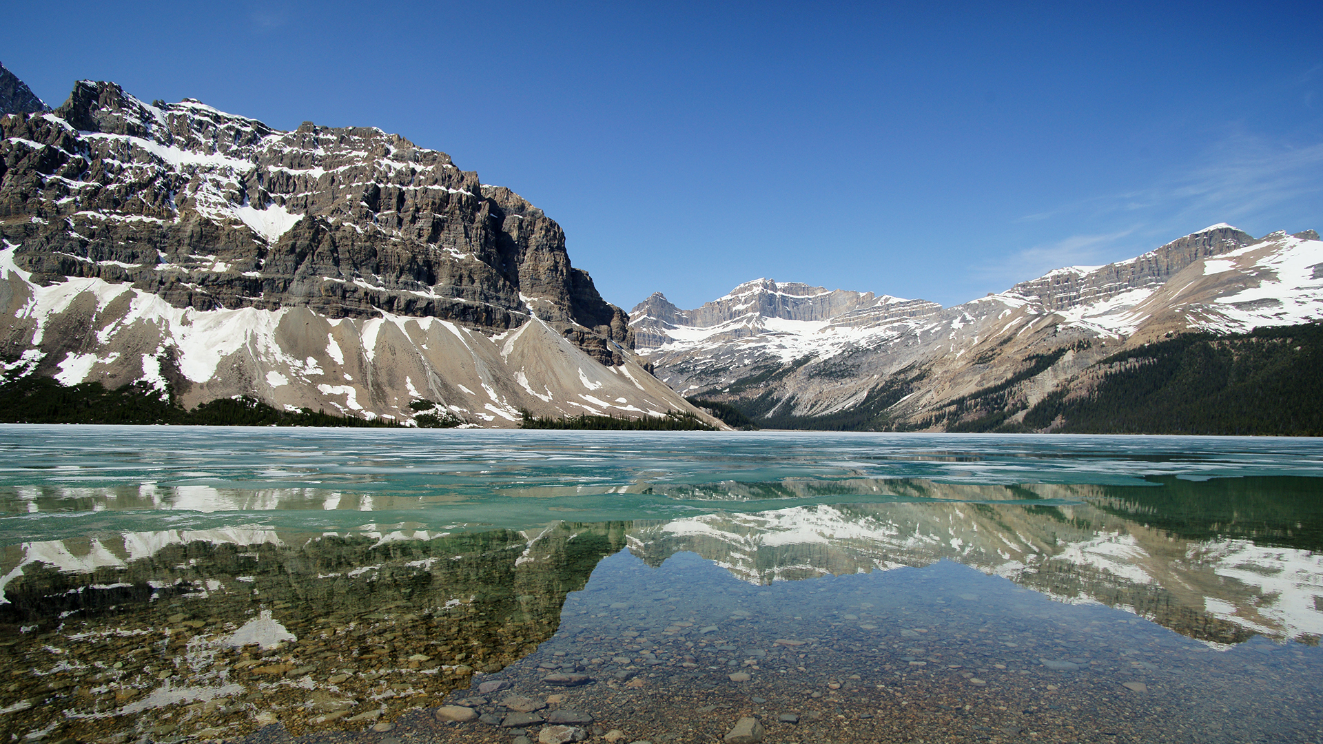 Image_0604