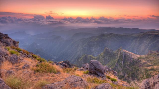 Image_0608