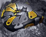 Animals_668