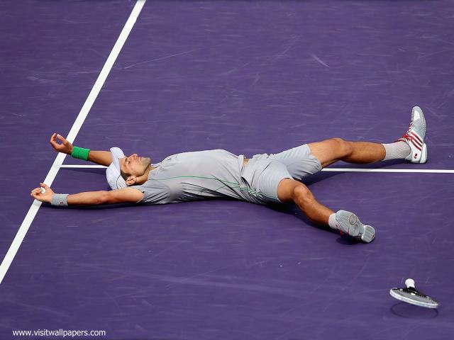 Novak_Djokovic_208