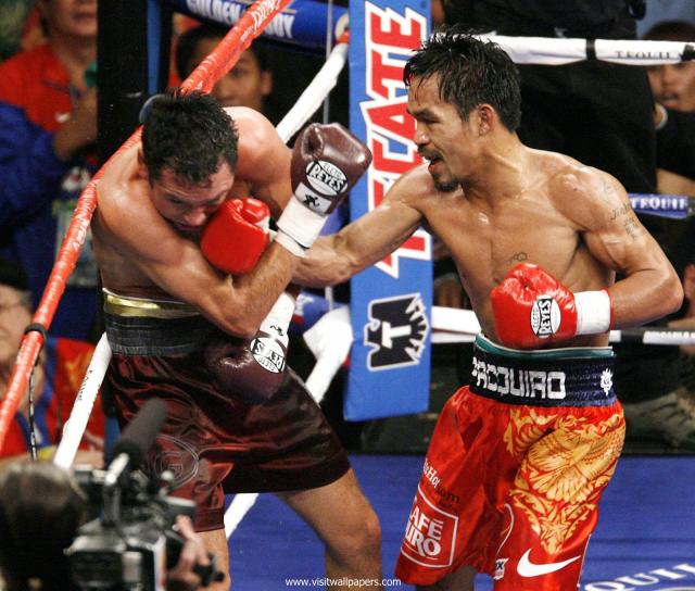 boxing_19