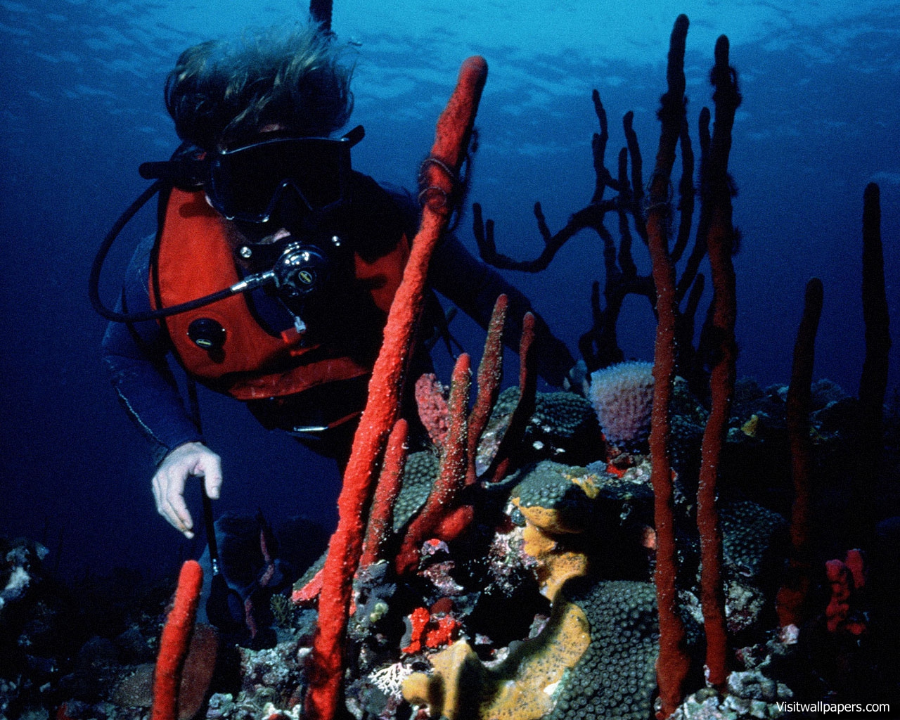 Scuba_Diving_06