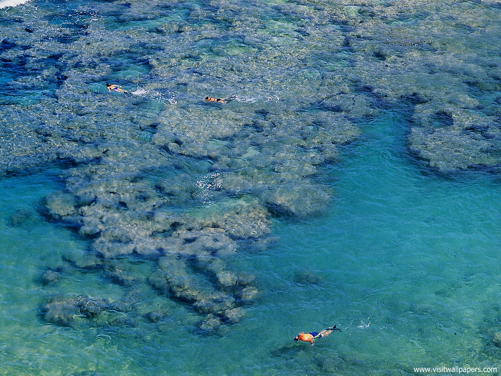 Snorkel_03