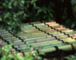 Japan_092