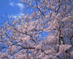 Japan_099