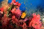 thailand_223