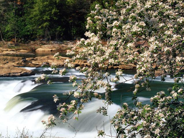 river_209
