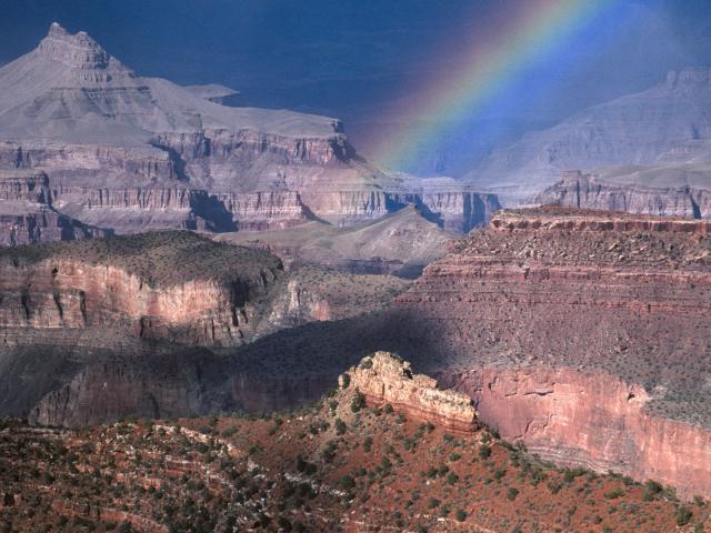 rainbow_39