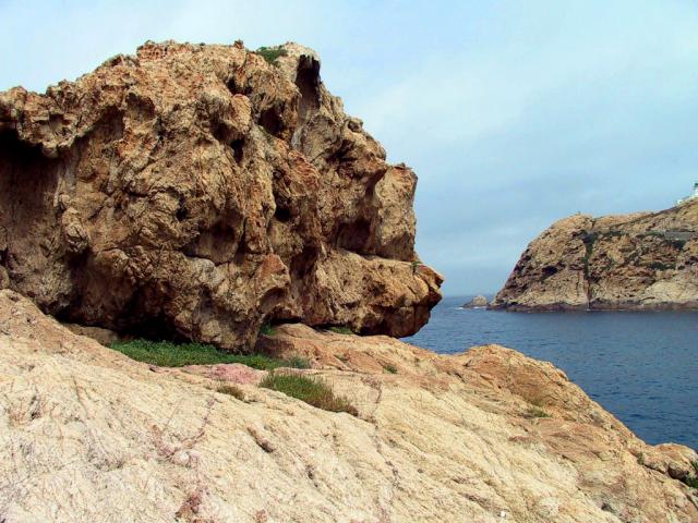 France_116