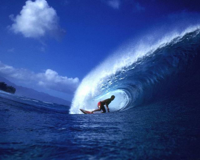 surfer_42