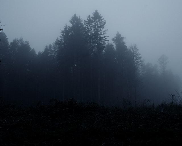 tree_266