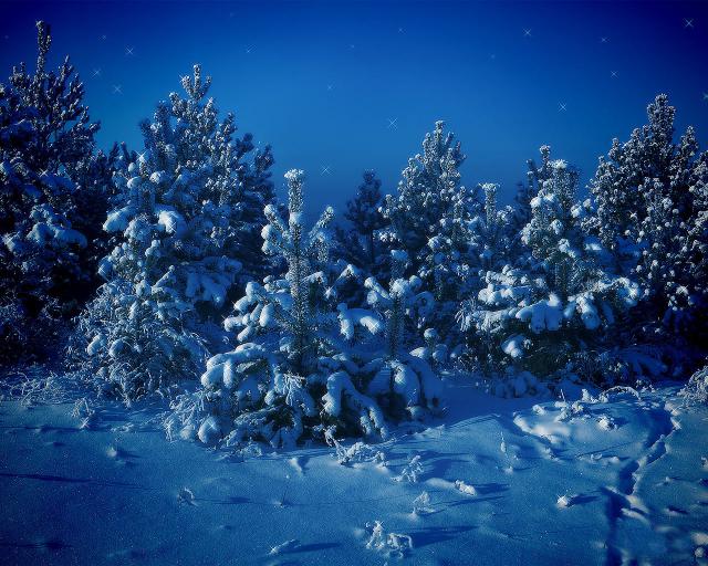 tree_274