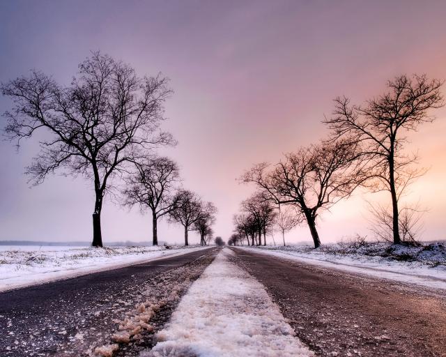 tree_276