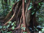 Indonesia_002