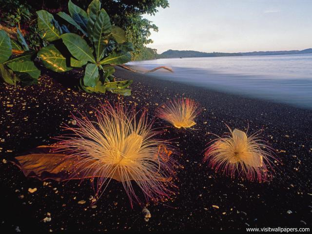 Indonesia_003