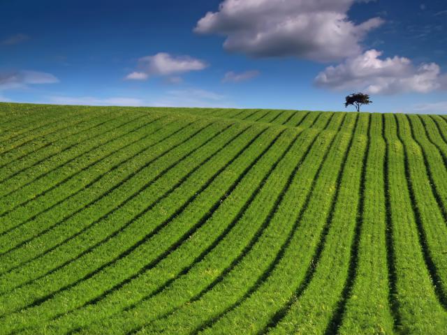 green_051