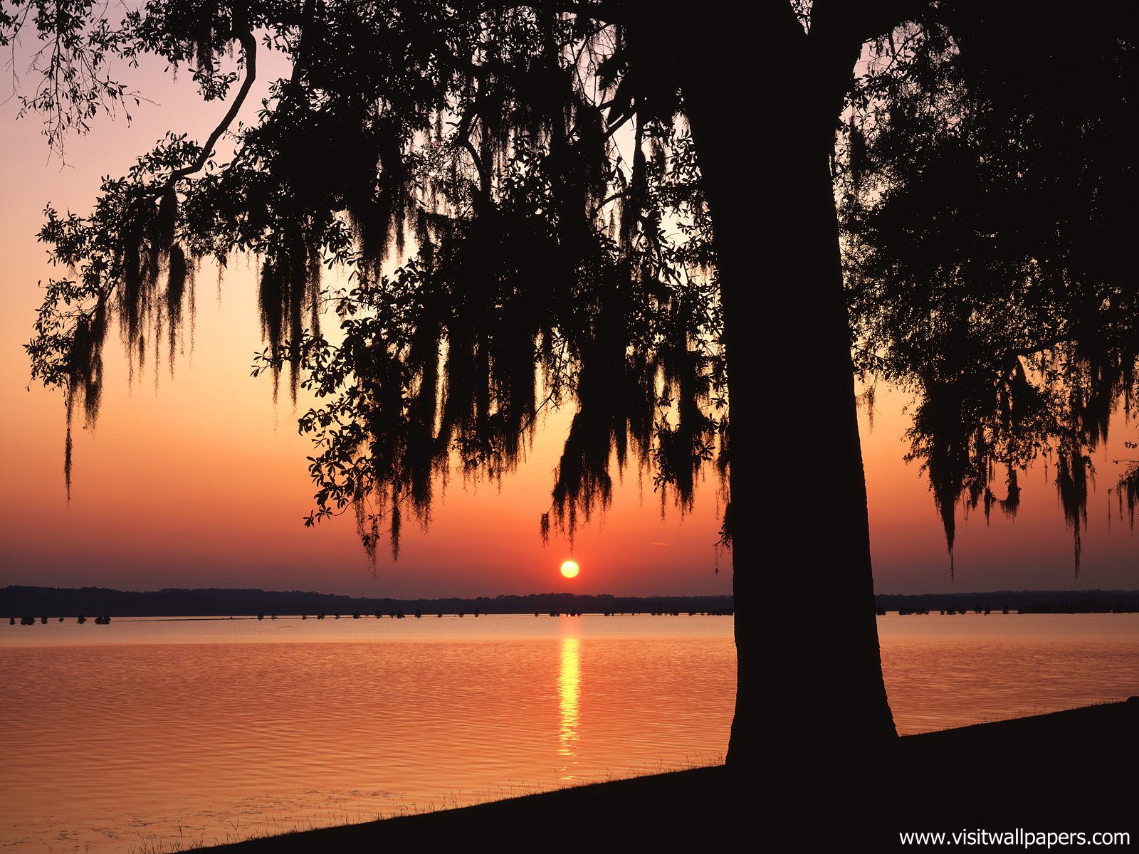 Sunset_026