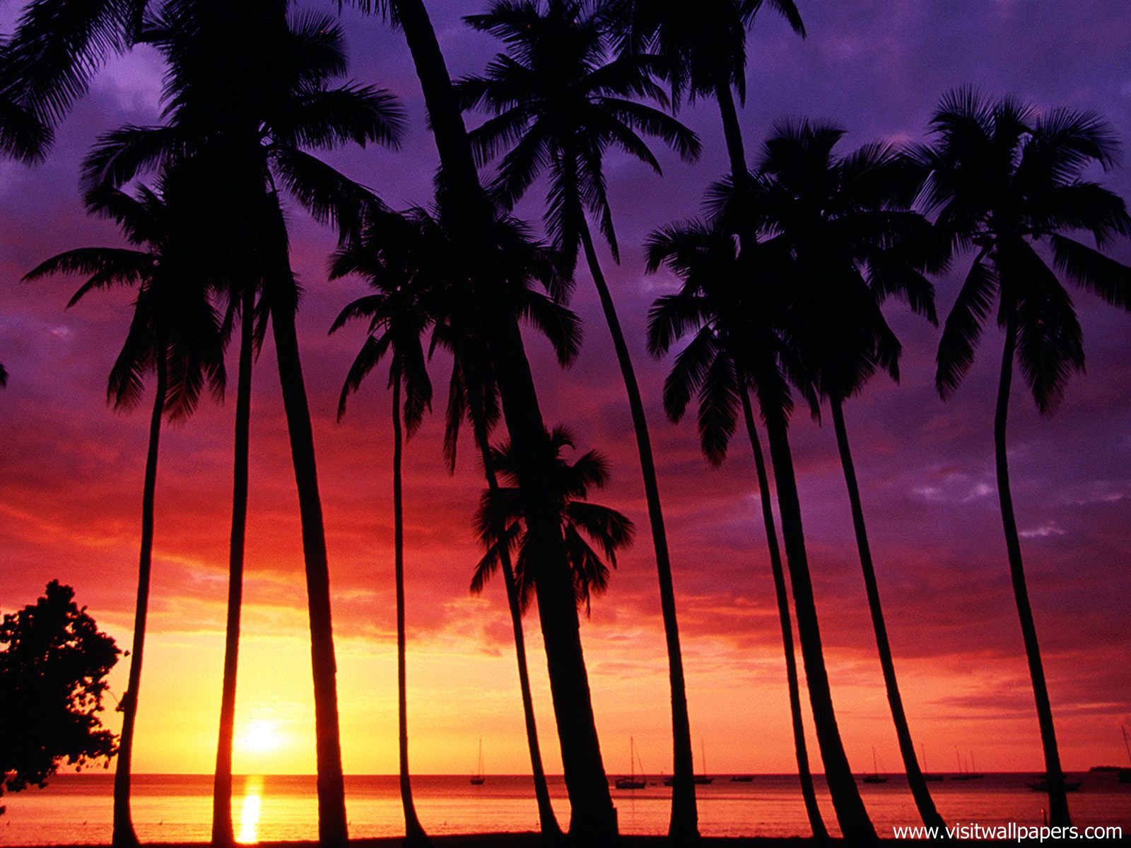Sunset_039
