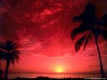 Sunset_041