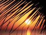 Sunset_047