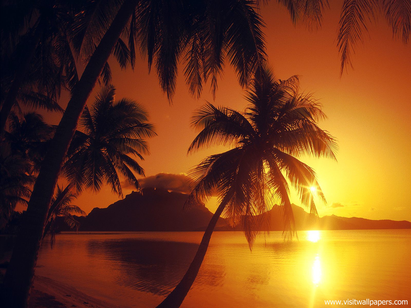Sunset_052