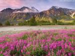Sunset_067
