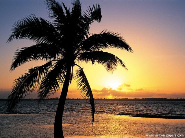 Sunset_068