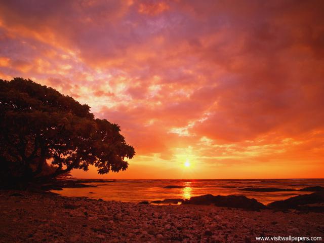 Sunset_081