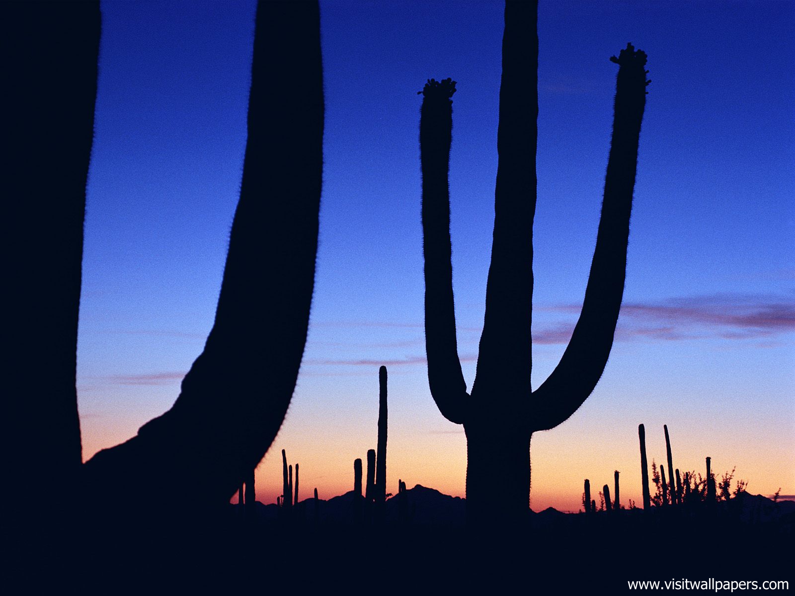 Sunset_082