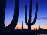 Sunset_082