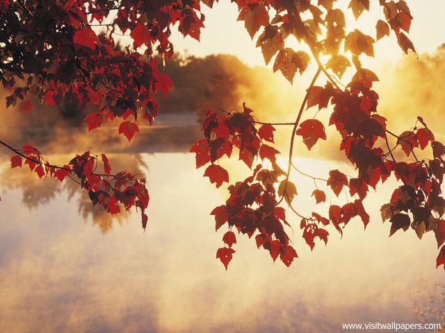 Sunrise_32