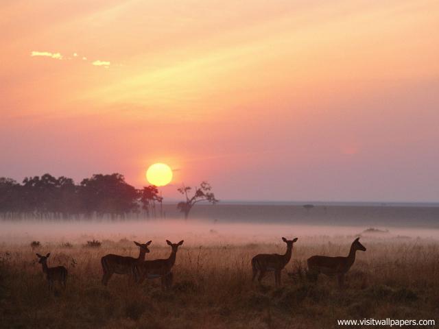 Sunrise_34